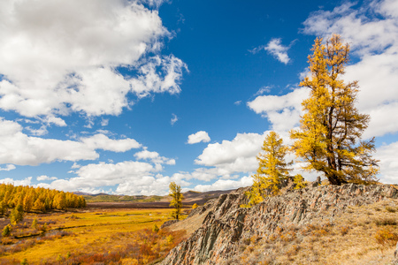 Fall in Mountains. Landscape panorama. Altai. Siberiaの写真素材