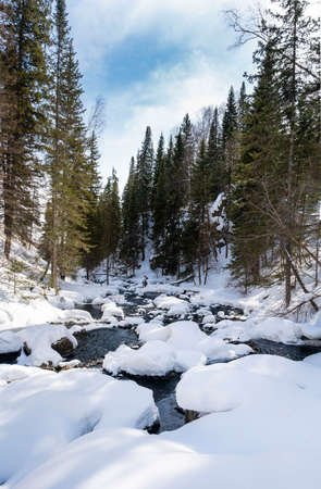 Winter forest river landscape. Snowy winter forest river scene.の写真素材