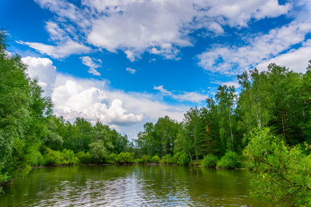 Lake in forest under blue sky.の写真素材