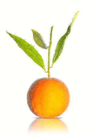 Orange in bubblesの写真素材