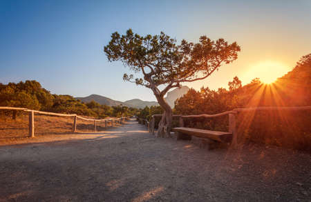 mountain landscape at sunriseの写真素材