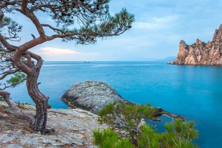 Minimalist Seascape  Coastal Sunrise  Ukraine  Crimea の写真素材