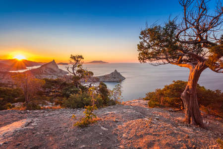 golden sunset at seaの写真素材