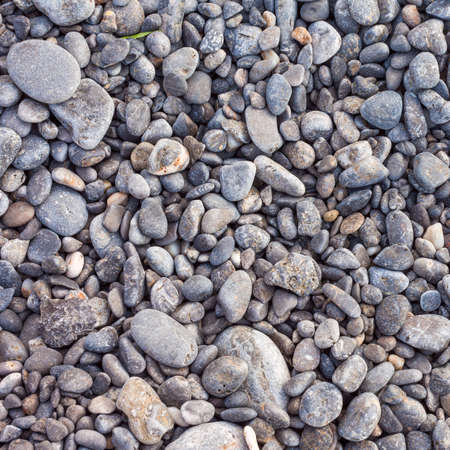 pebble stones as a background textureの写真素材