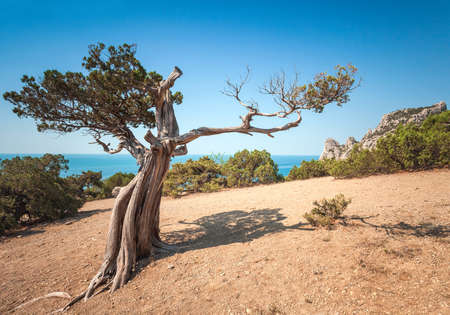 Mountain landscape  Ukraine  Crimea の写真素材
