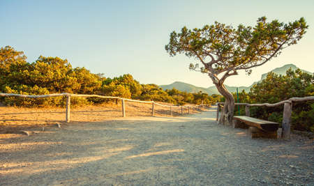 Mountain landscape  Ukraine  Crimea の写真素材