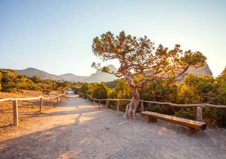 Mountain landscape  Ukraine  Crimea の写真素材