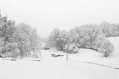 winter city park in morningの写真素材