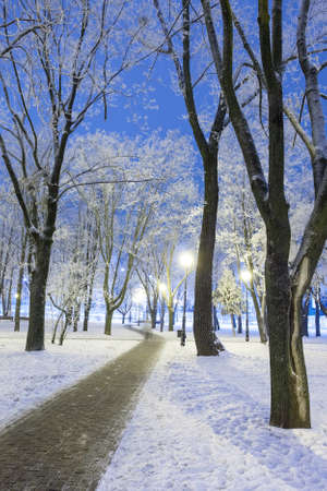 Footpath in a fabulous autumn city parkの写真素材