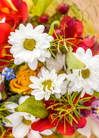 Bunch of flowers with small depth of fieldの写真素材
