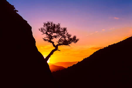 sunrise in mountainsの写真素材