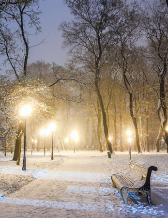 Footpath in a fabulous winter city parkの写真素材