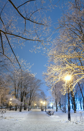 Footpath in a fabulous winter city parkの写真素材