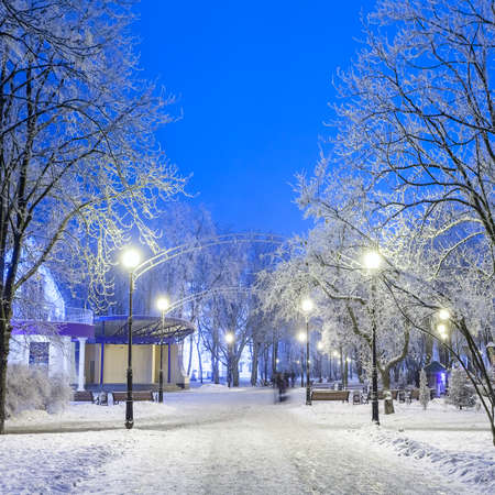 Footpath in a fabulous winter city parkの写真素材