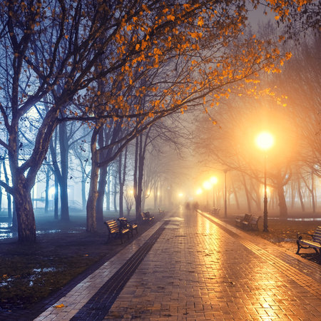 people in autumn city park at nightの写真素材