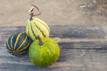 Autumn pumpkins with leaves on wooden board with shallow depth of fieldの写真素材