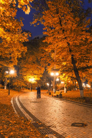 Beautiful autumn city park at nightの写真素材
