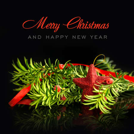 Christmas balls and fir on black backgroundの写真素材