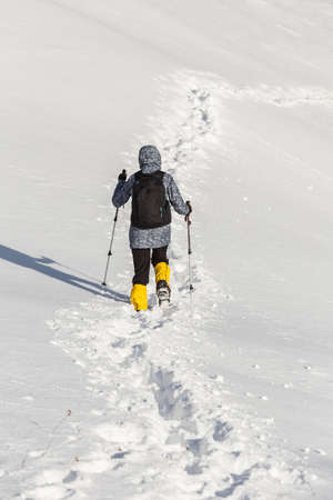 Hiker in winter mountainsの写真素材