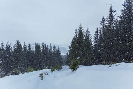 Beautiful winter mountains landscapeの写真素材