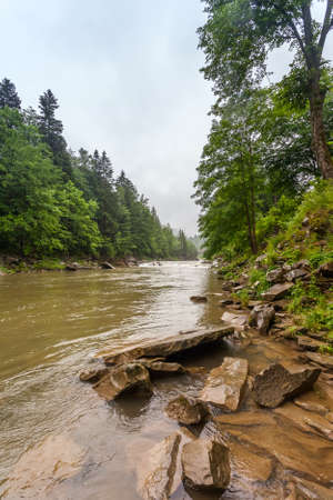 Summer landscape with a mountain river. Majestic Carpathian forest.の写真素材