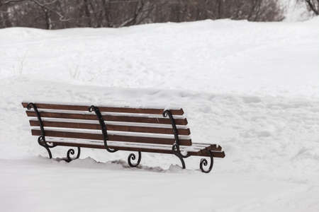 single bench covered with snow in winter parkの写真素材