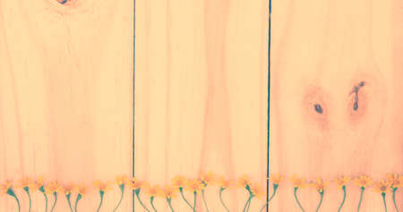 Flowers on a wooden backgroundの写真素材