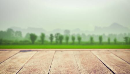 Wooden terrace with views of natureの写真素材