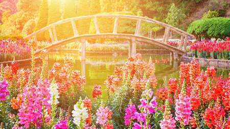 Gardens, bridges and light morningの写真素材