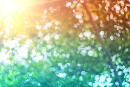 Blurred nature, bokeh and lightの写真素材