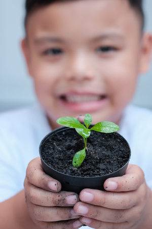 Boy and tree seedlings in handの写真素材