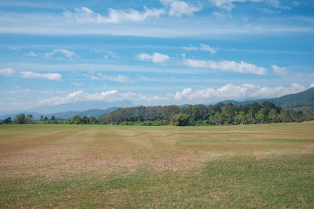 Vast lawn and mountain views
