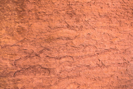 The texture of the red rock wall