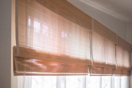 Curtains and window lighting