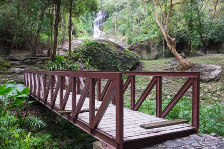 A bridge in the forest, a waterfall and a treeの写真素材