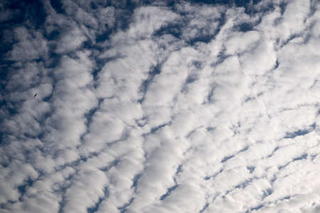 white clouds and blue skyの写真素材