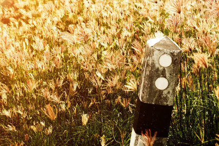 Stone pole in the grass field with sun rays and lens flare.の写真素材