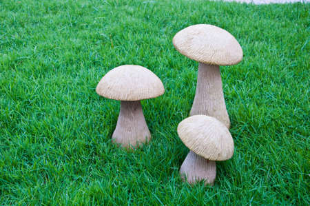 mushroom on grassの写真素材