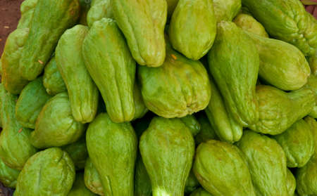 chayoteの写真素材