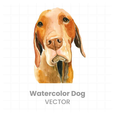 Drinks painted in watercolor on a white background.のイラスト素材