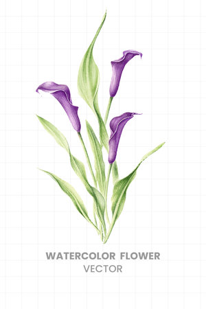 Watercolor calla lily on a checkered background. Vector illustrationのイラスト素材