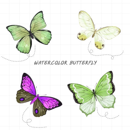 watercolor insects on a white backgroundのイラスト素材