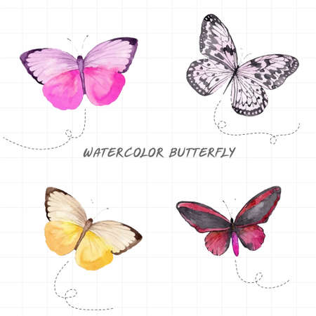Beautiful patterned butterfly painted in watercolor on white background.のイラスト素材