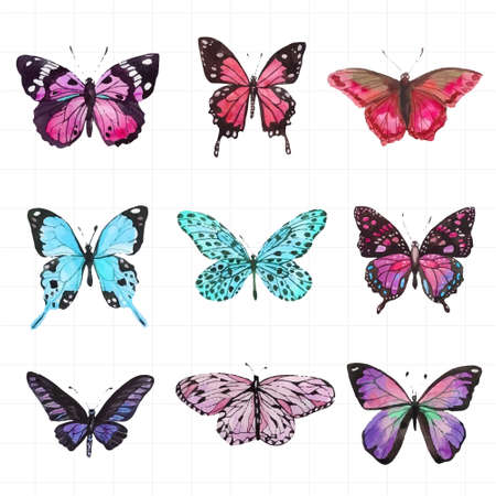 Beautiful patterned butterfly painted in watercolor on white background.のイラスト素材
