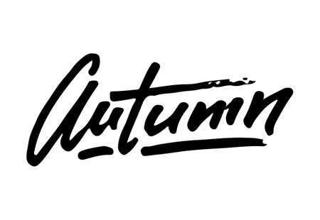 Autumn / fall life style inspiration quotes lettering. Handwritten calligraphy graphic design element. Autumn / fall motivational lettering typography vector illustration isolated on white backgroundのイラスト素材