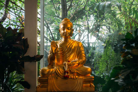 Buddha statue in Thailandの写真素材