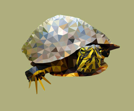 Turtle vector low poly illustrationのイラスト素材