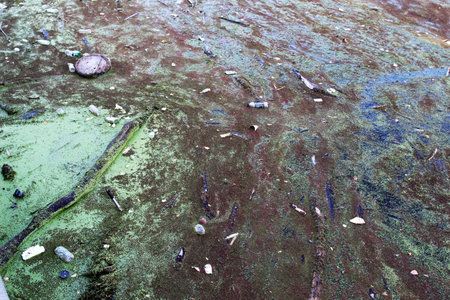 Water pollution. Garbage floating on the surface of the river