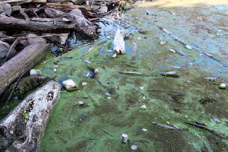 Water pollution. Garbage floating on the surface of the riverの写真素材