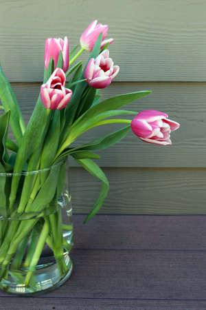 A bouquet of pink tulips in a glass vase on wooden background. Still life photographyの写真素材